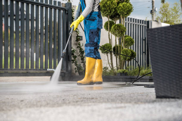 Boat and Dock Cleaning in Burlington, KY