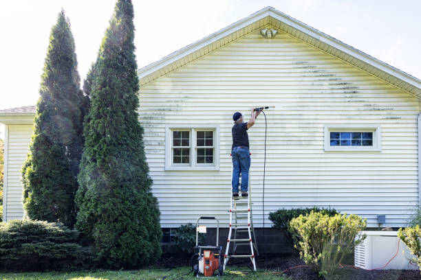 Professional Pressure Washing in Burlington, KY